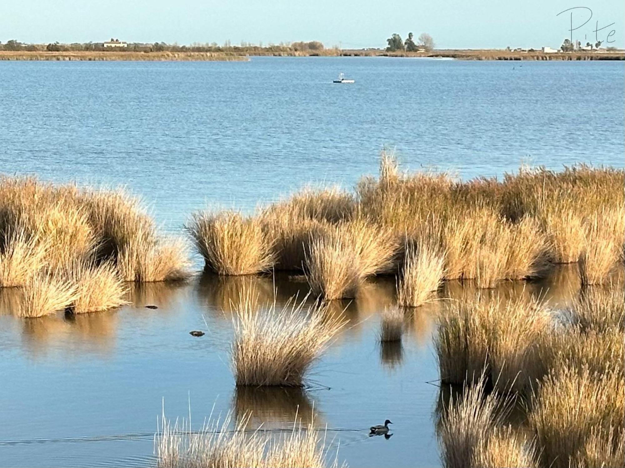 Pensjonat Cal Xot Poblenou del Delta Zewnętrze zdjęcie